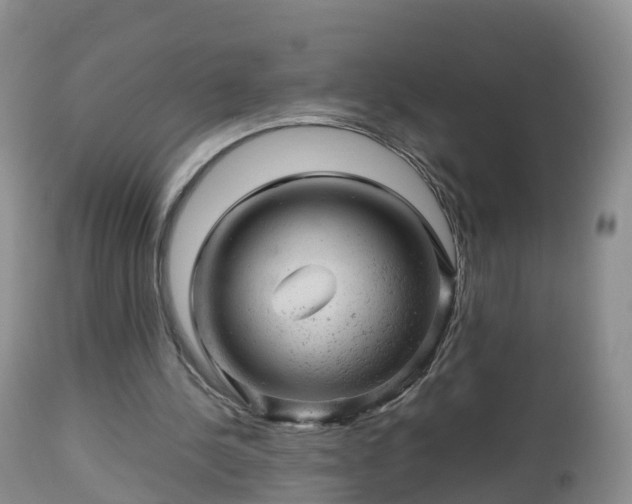 X0000112810244200908281513