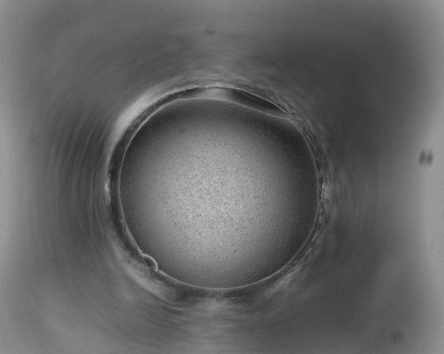 X0000112810246200908281513
