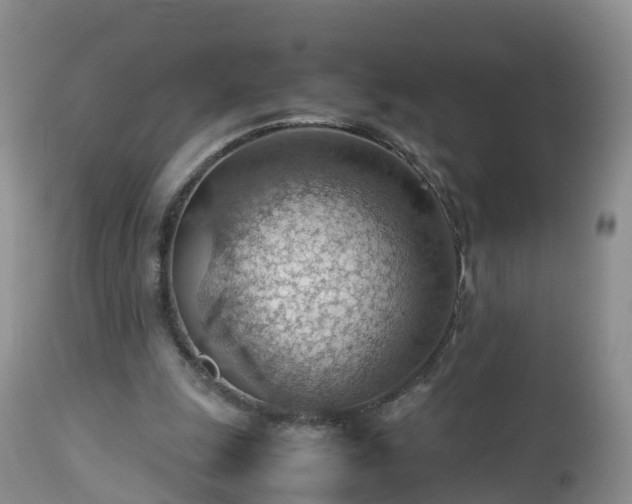 X0000112810247200908281513
