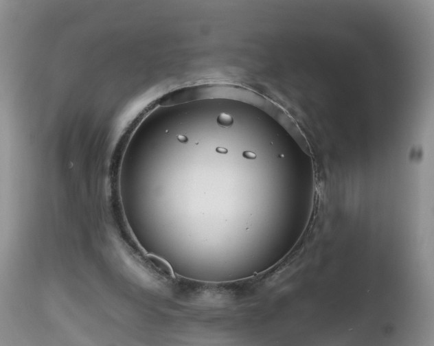 X0000112810248200908281513