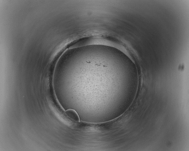 X0000112810250200908281513