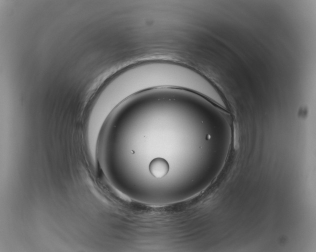 X0000112810252200908281513
