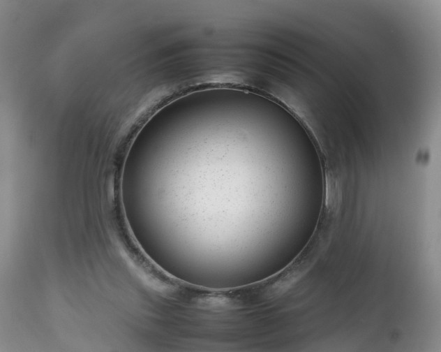 X0000112810253200908281513