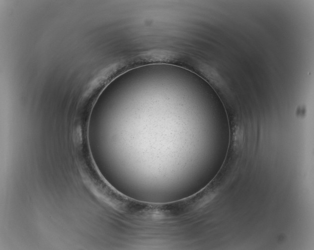 X0000112810254200908281513