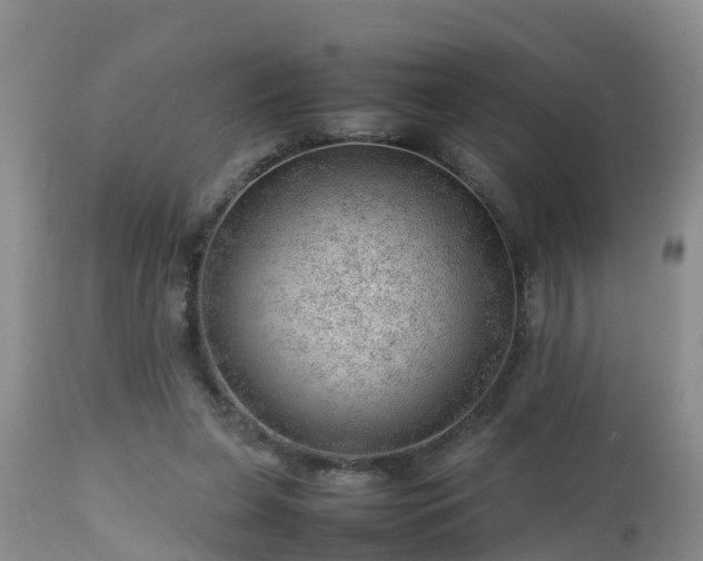 X0000112810255200908281513