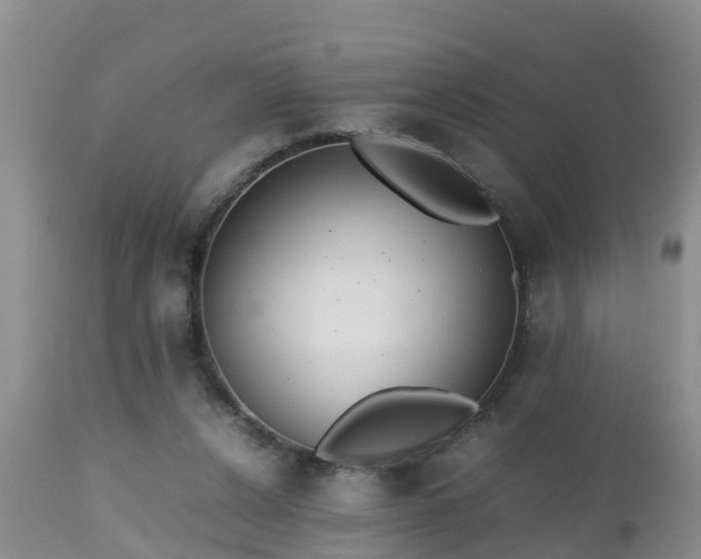 X0000112810256200908281513