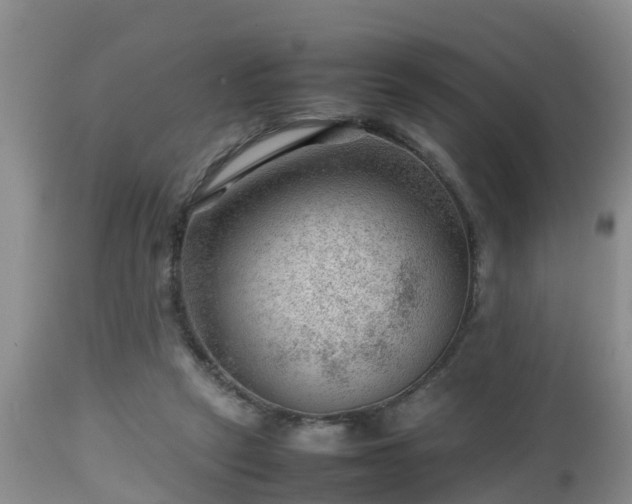 X0000112810257200908281514