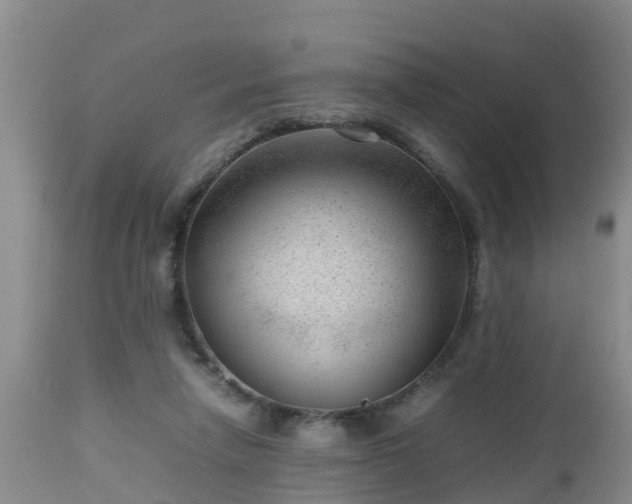 X0000112810258200908281514