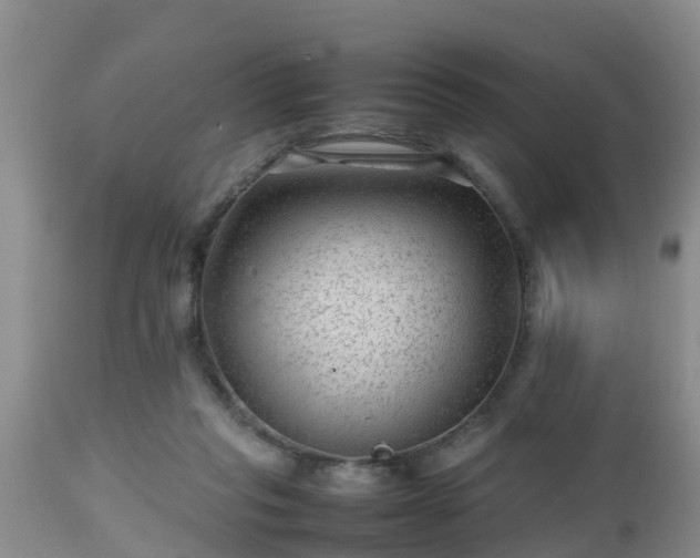 X0000112810261200908281514