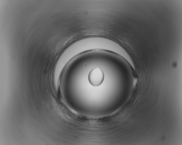 X0000112810264200908281514