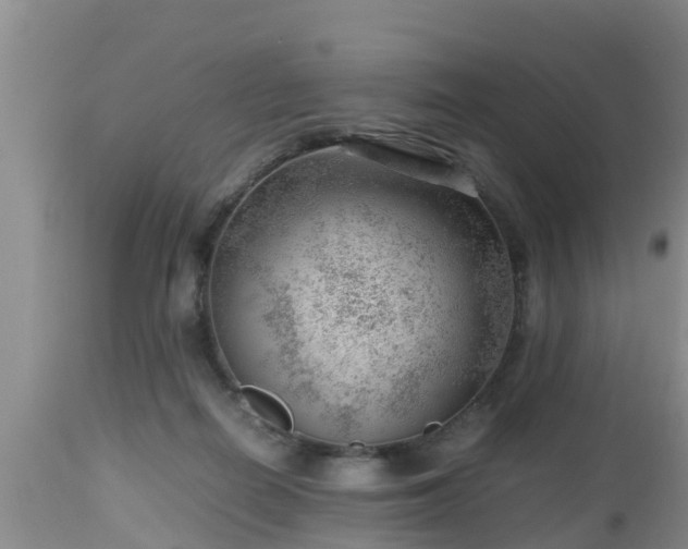 X0000112810266200908281514