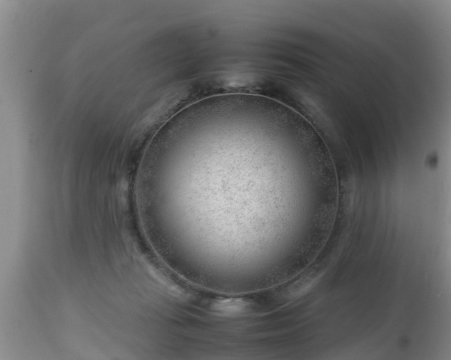 X0000112810269200908281514