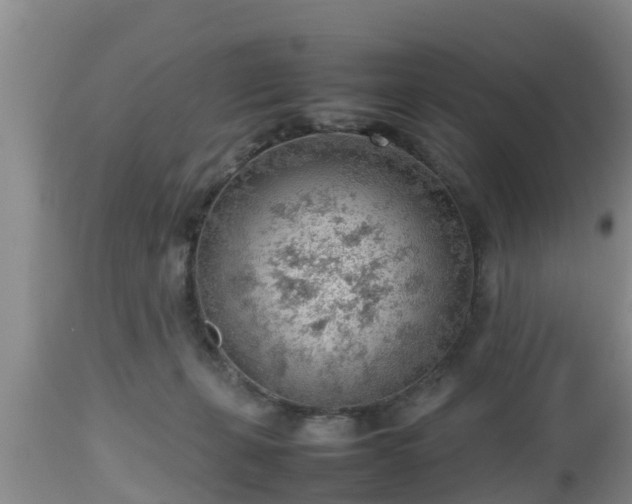 X0000112810271200908281514