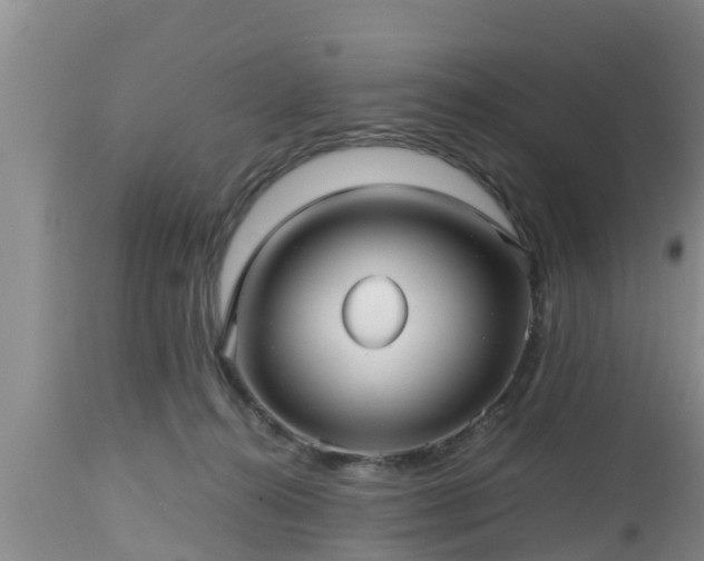 X0000112810272200908281514