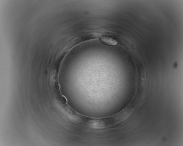 X0000112810275200908281514