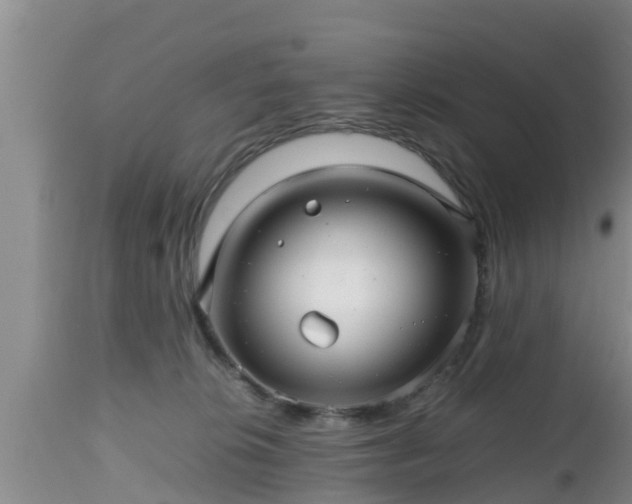 X0000112810276200908281514