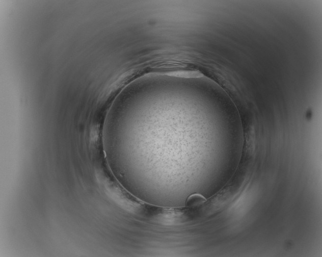X0000112810278200908281514