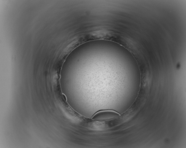 X0000112810279200908281514