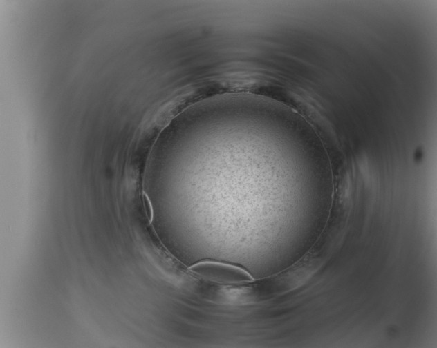 X0000112810283200908281514