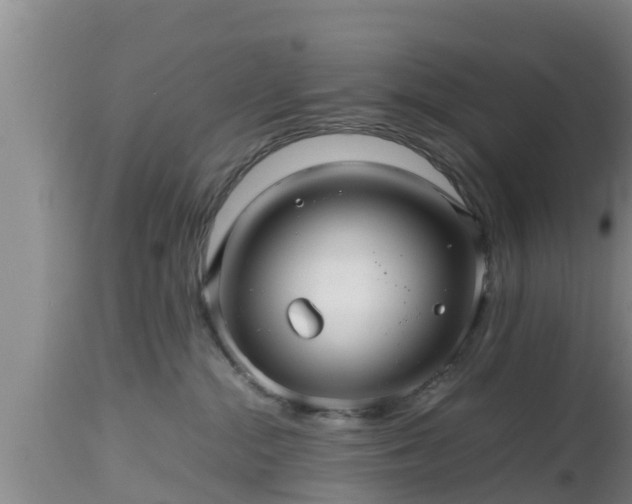 X0000112810284200908281514