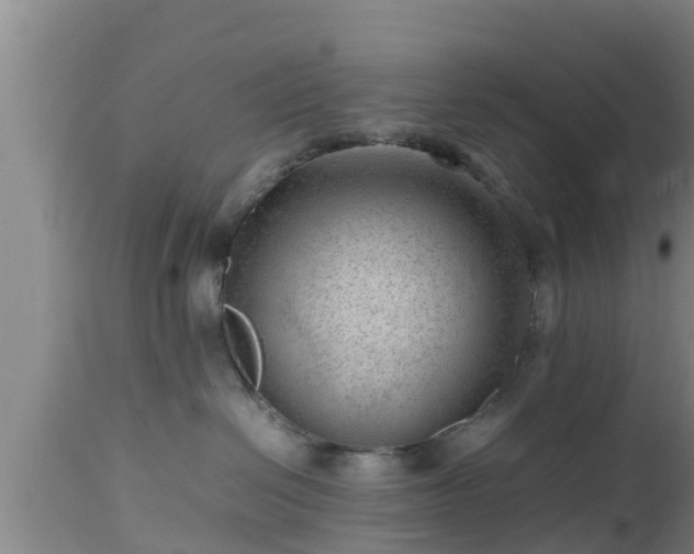X0000112810286200908281514