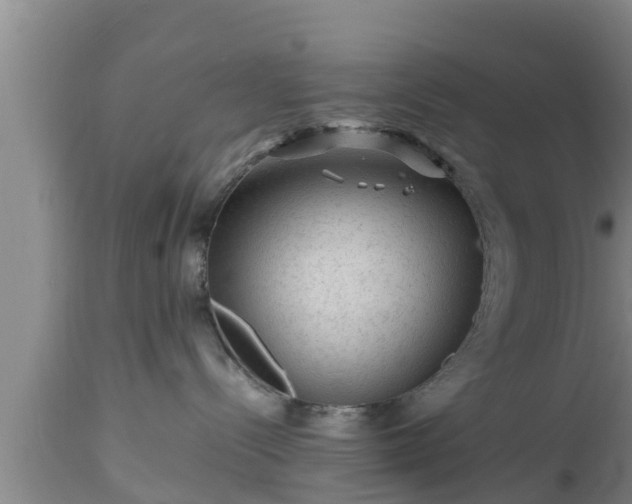 X0000112810288200908281514
