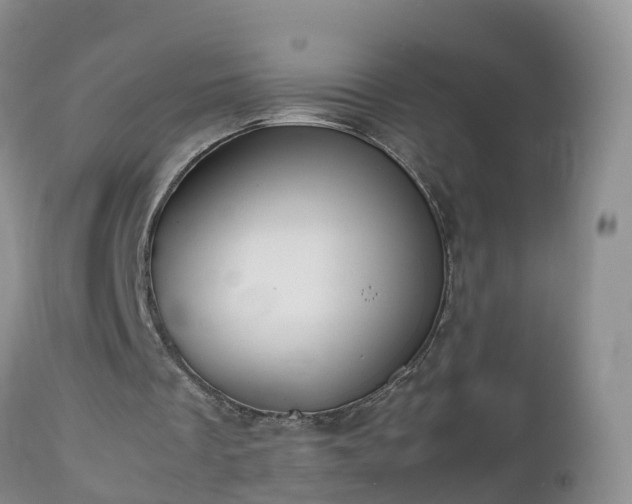 X0000112810289200908281513