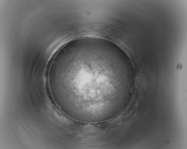X0000112810290200908281513
