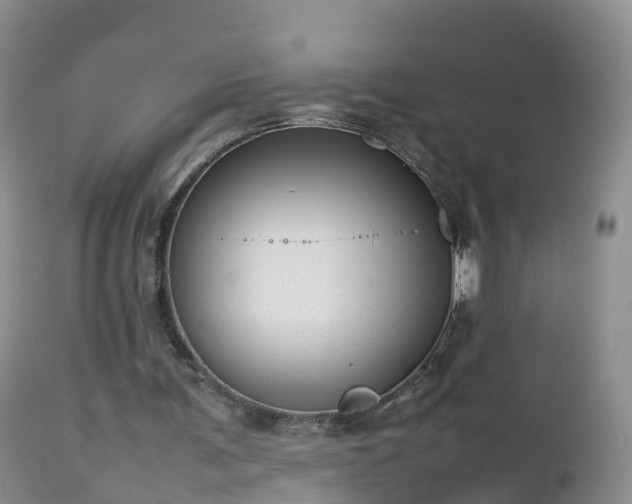 X0000112810291200908281513