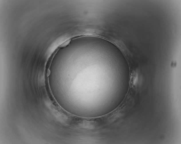 X0000112810292200908281513