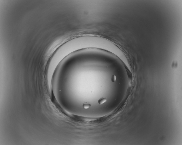 X0000112810293200908281513