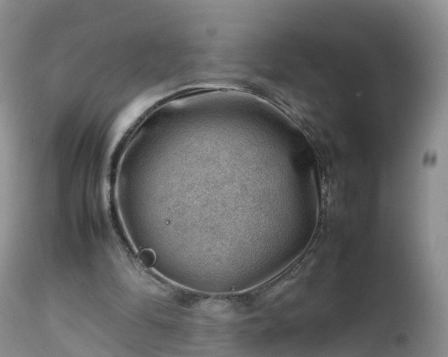 X0000112810294200908281513