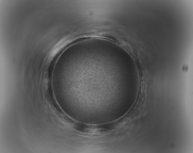 X0000112810295200908281513