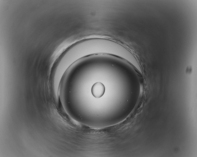 X0000112810296200908281513