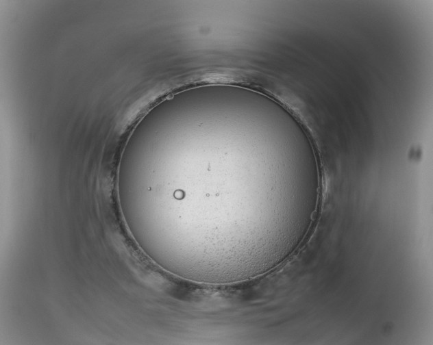 X0000112810297200908281513