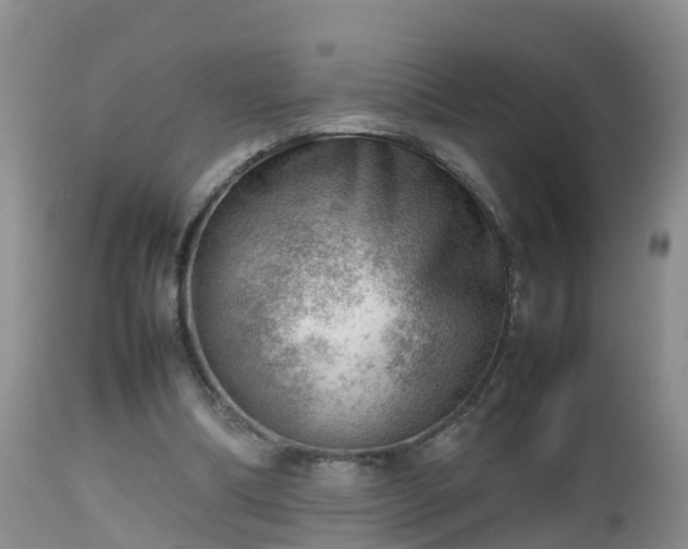 X0000112810298200908281513