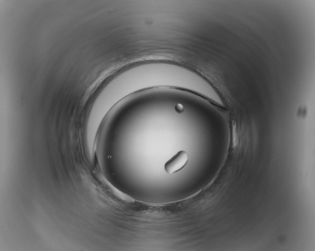 X0000112810300200908281513