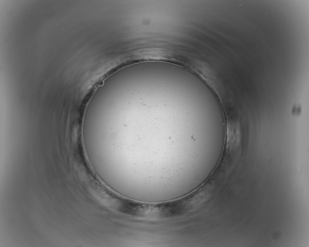 X0000112810301200908281513