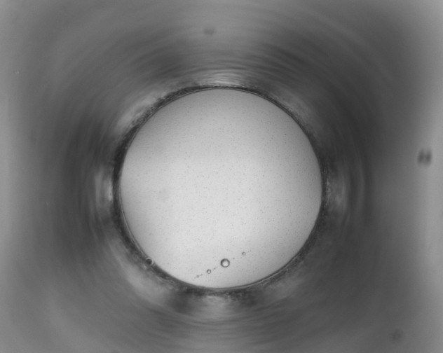X0000112810302200908281513