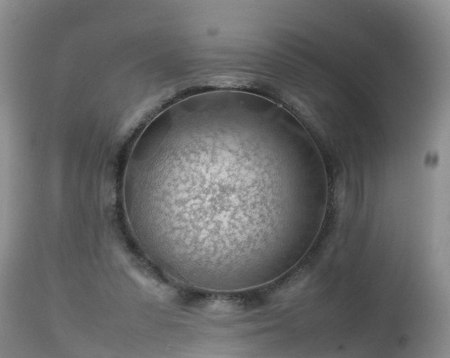 X0000112810303200908281513