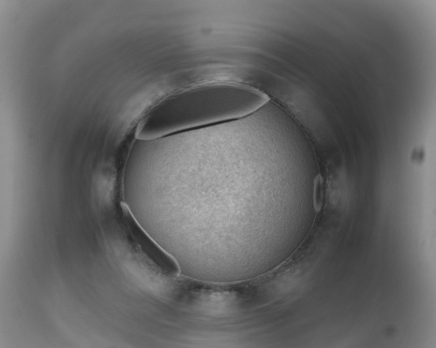 X0000112810304200908281513