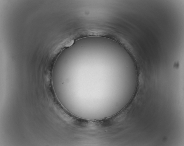 X0000112810305200908281513