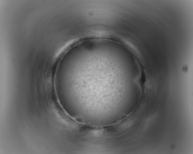 X0000112810306200908281513
