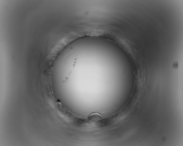 X0000112810307200908281513