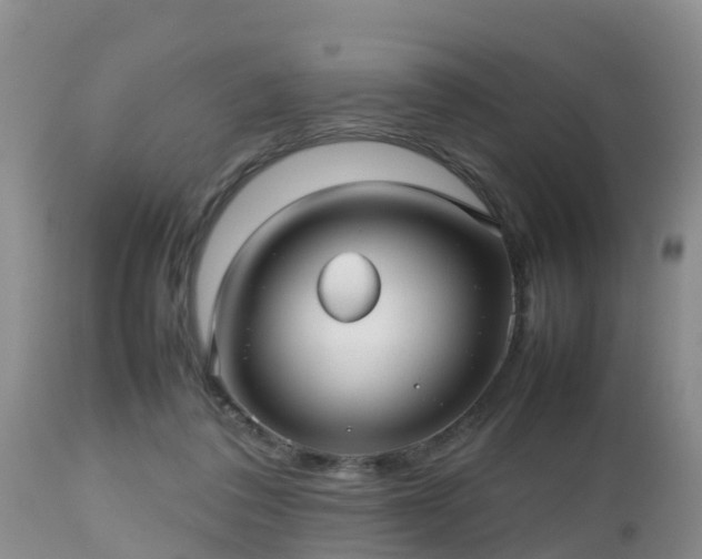 X0000112810308200908281513