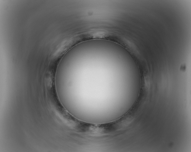X0000112810311200908281513
