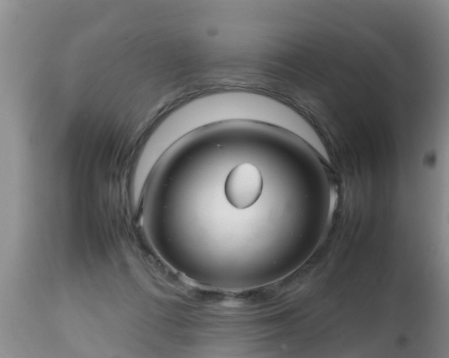 X0000112810312200908281513