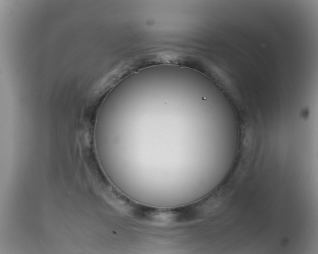 X0000112810313200908281513