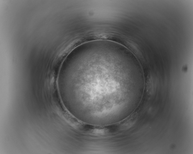 X0000112810314200908281513