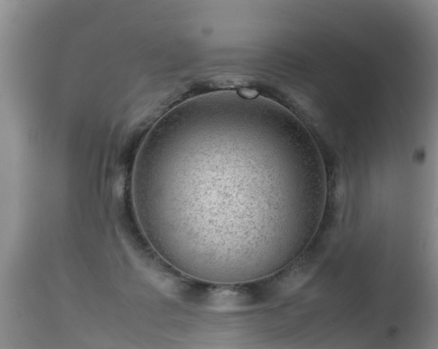 X0000112810315200908281513